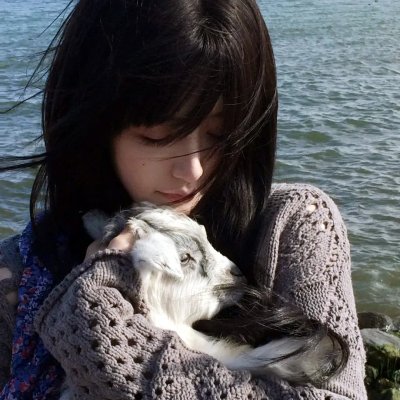 高卢英雄:中国大战罗马帝国